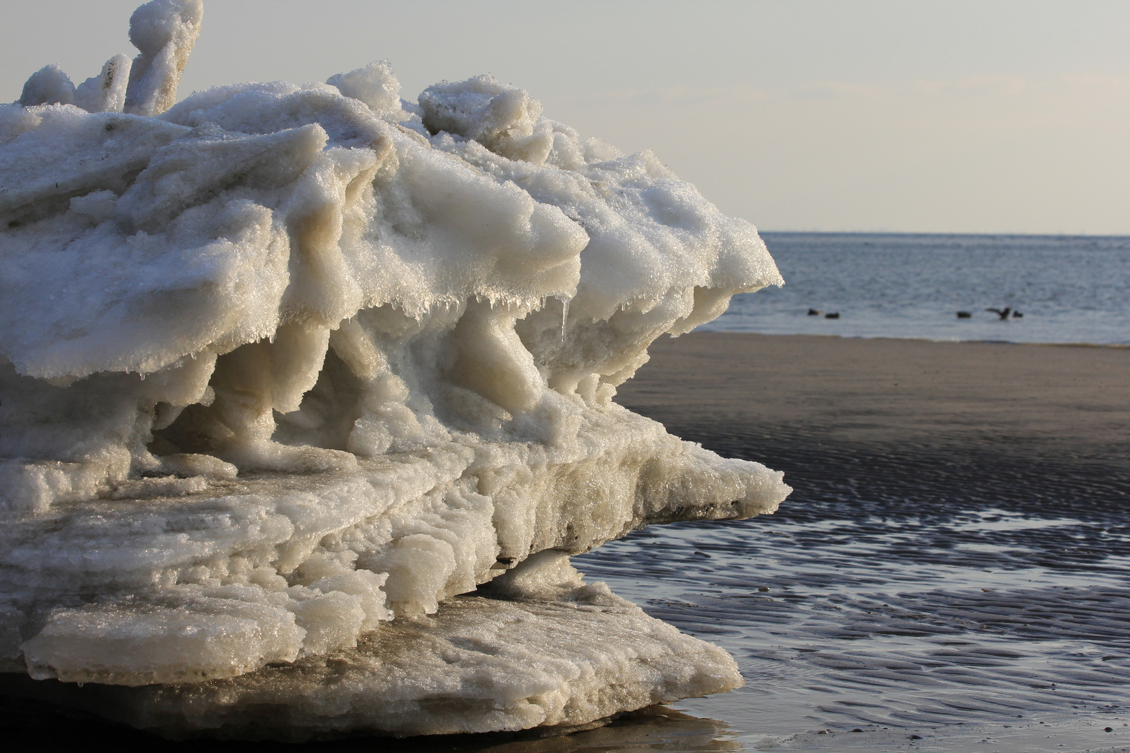 Eisschollen am Nordseestrand