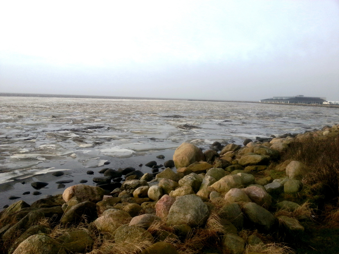 Eisschollen am Ringköbing Fjord/Dänemark/Südwestjütland