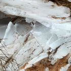 Eisschollen an der Elbe