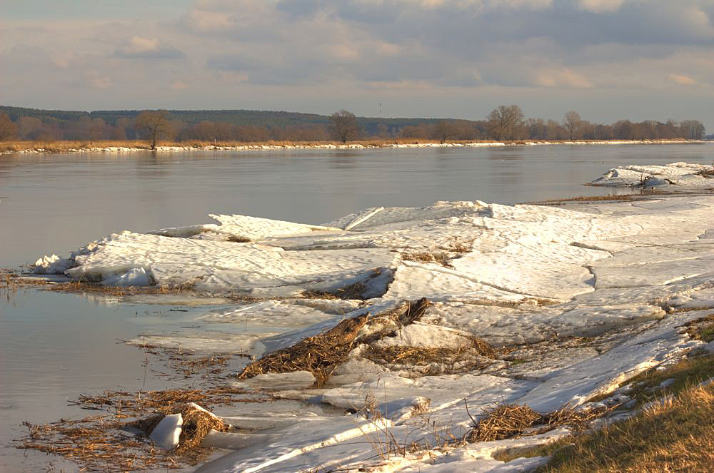 Eisschollen an der Oder