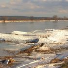 Eisschollen an der Oder