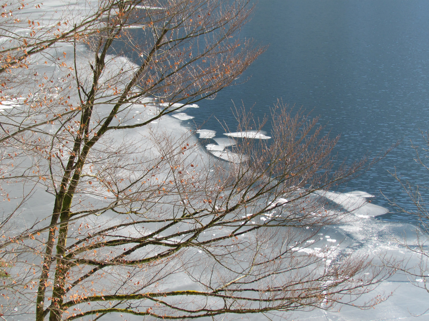 Eisschollen auf dem Königsee