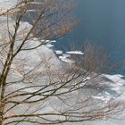 Eisschollen auf dem Königsee