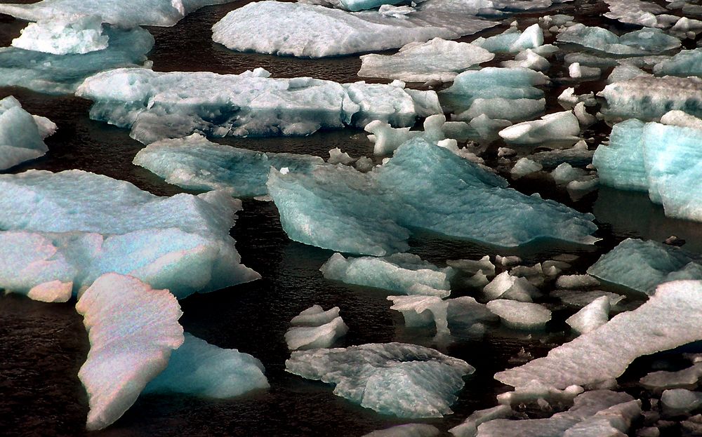 Eisschollen auf dem Lago Grey