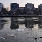 Eisschollen auf dem Main