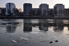 Eisschollen auf dem Main