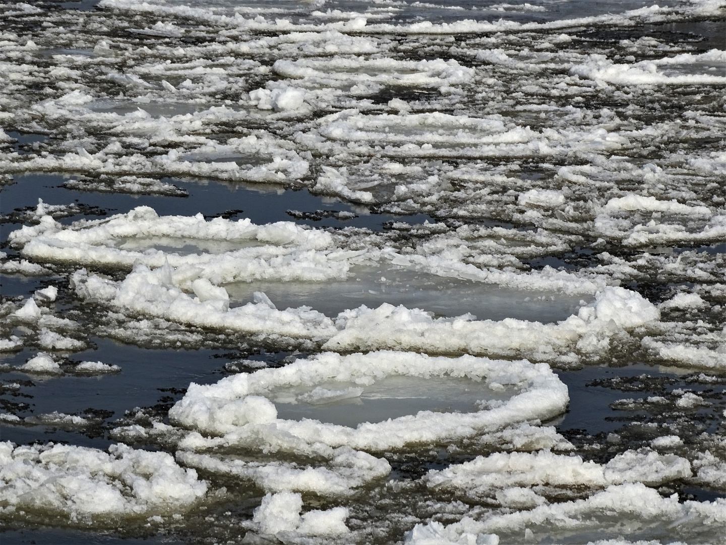 Eisschollen auf der Elbe