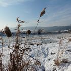 Eisschollen auf der Weser