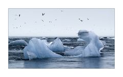 Eisschollen im Meer bei Jokulsarlon