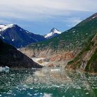 Eisschollen im Tracy Arm