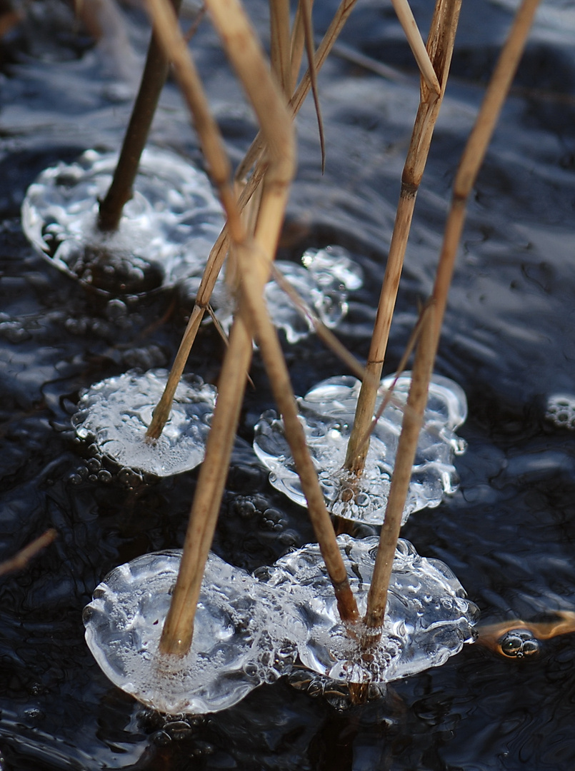 Eisschollen im Wasser