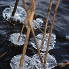 Eisschollen im Wasser