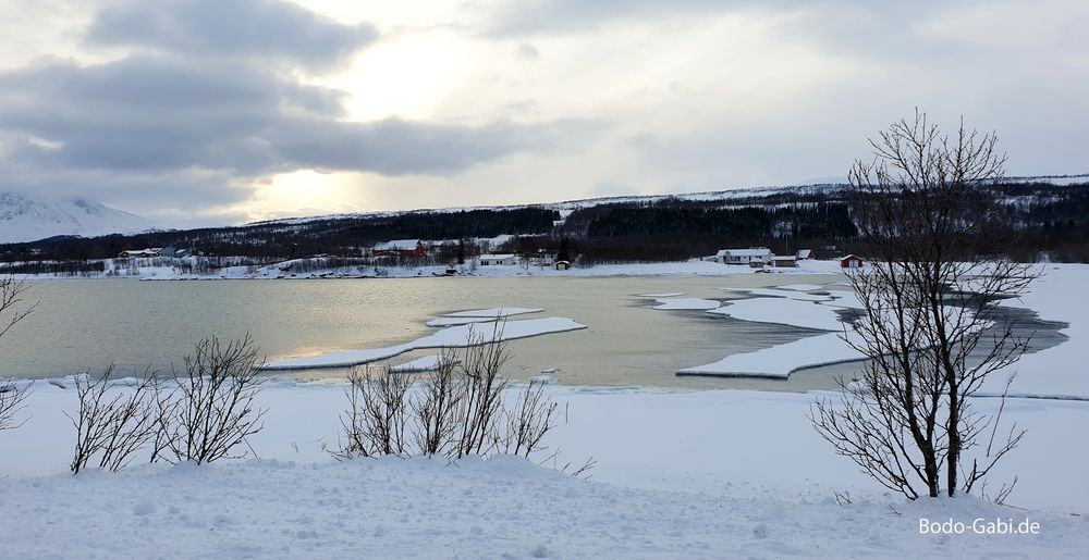 Eisschollen in der Bucht von Tisnes