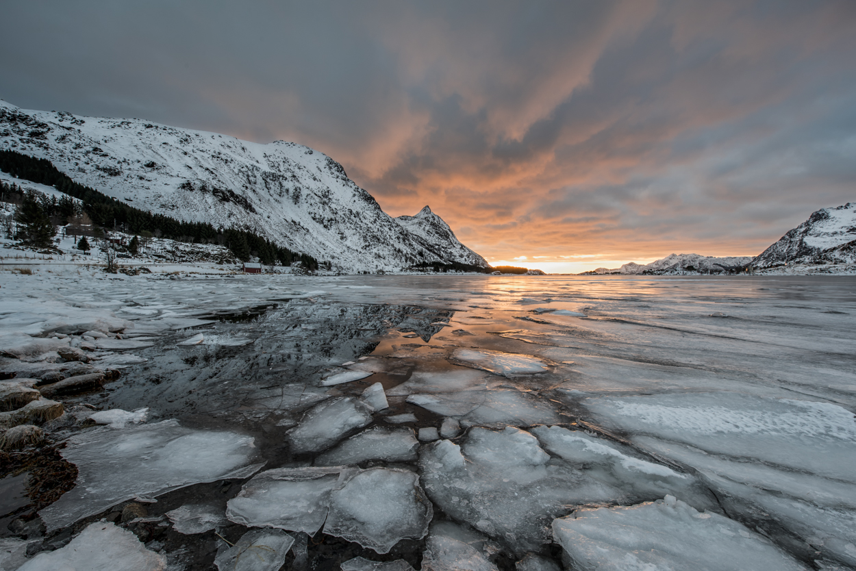 Eisschollen / Lofoten