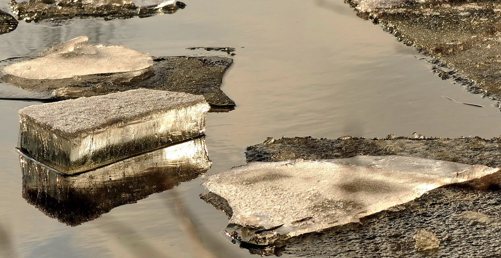 Eisschollen mit Spiegelung