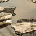 Eisschollen mit Spiegelung