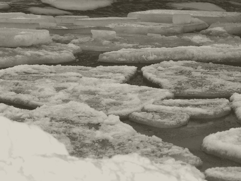 Eisschollen - Ostsee - Zinnowitz - Januar 2010