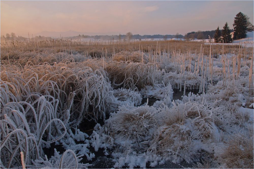 Eisschrank