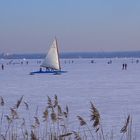 Eissegeln auf dem Steinhuder Meer 2009