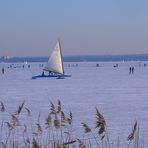 Eissegeln auf dem Steinhuder Meer 2009