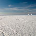 Eissegeln auf dem Steinhuder Meer