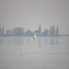 Eissegler vor dem Willhelmstein auf dem Steinhuder Meer