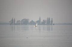 Eissegler vor dem Willhelmstein auf dem Steinhuder Meer