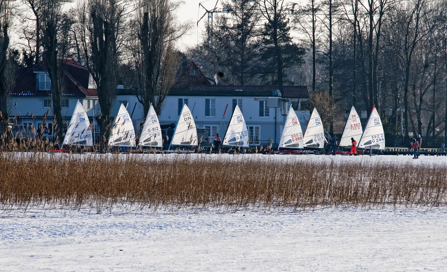 Eisselgeln auf dem Steinhuder Meer