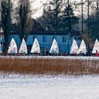 Eisselgeln auf dem Steinhuder Meer