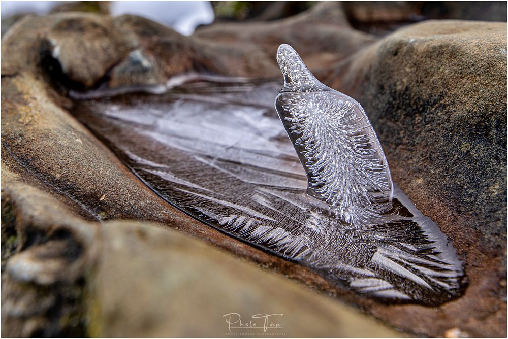 Eisskulptur