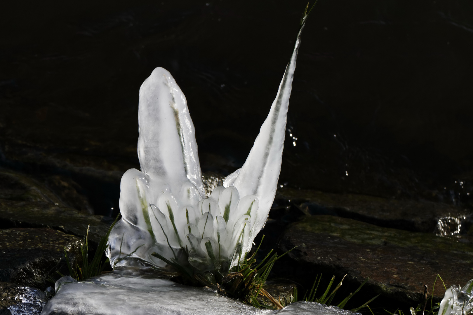 Eisskulptur