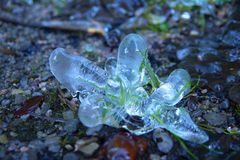 Eisskulptur.