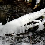 Eisskulptur...