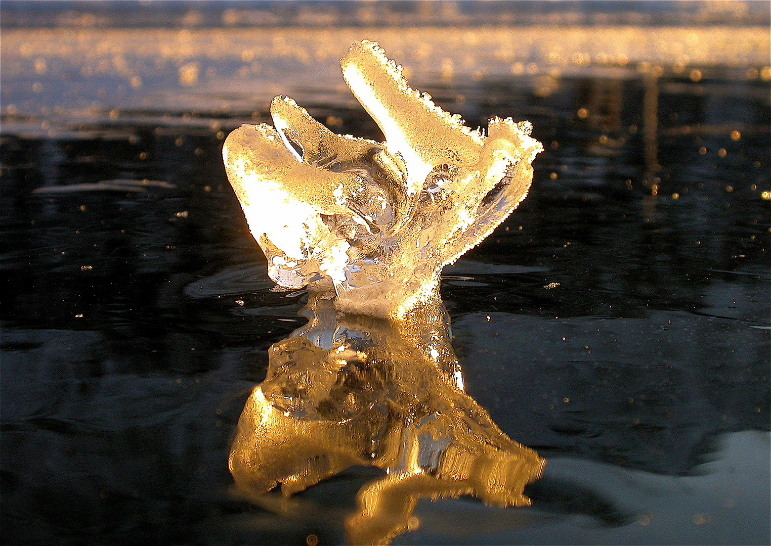 Eisskulptur