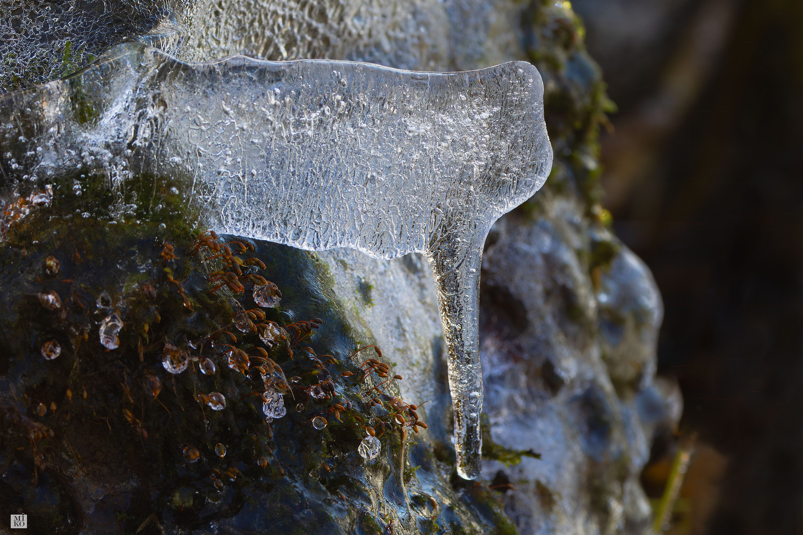 Eisskulptur