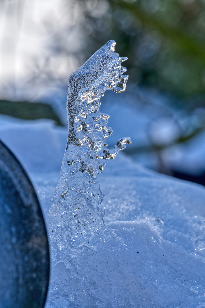 Eisskulptur