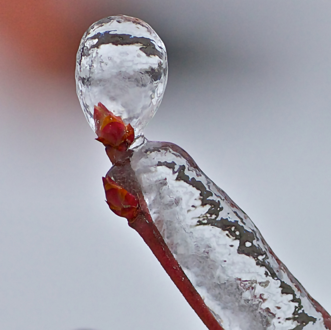 Eisskulptur