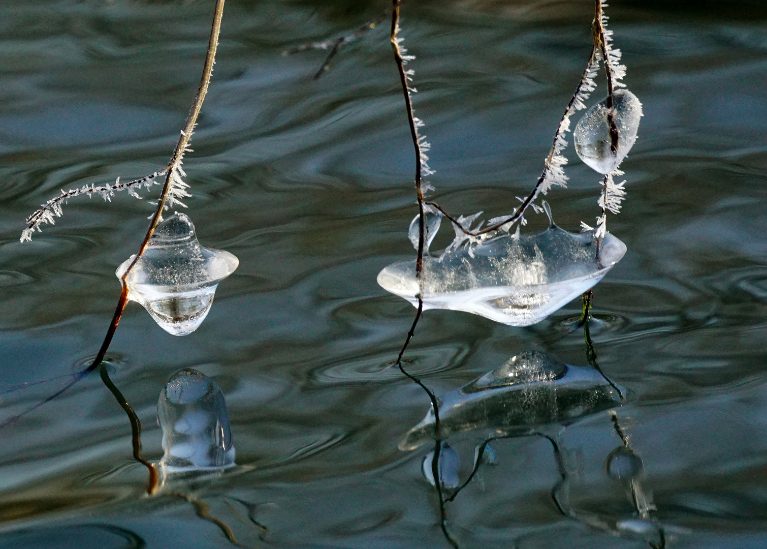 Eisskulptur an der Tauber.