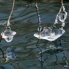 Eisskulptur an der Tauber.