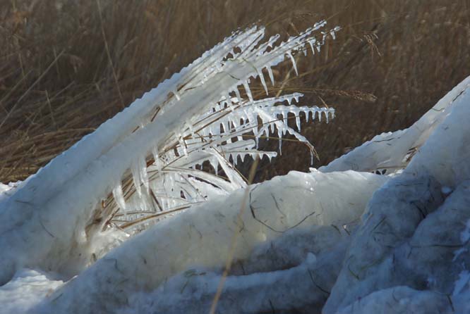 Eisskulptur aus Frost udn Sturm