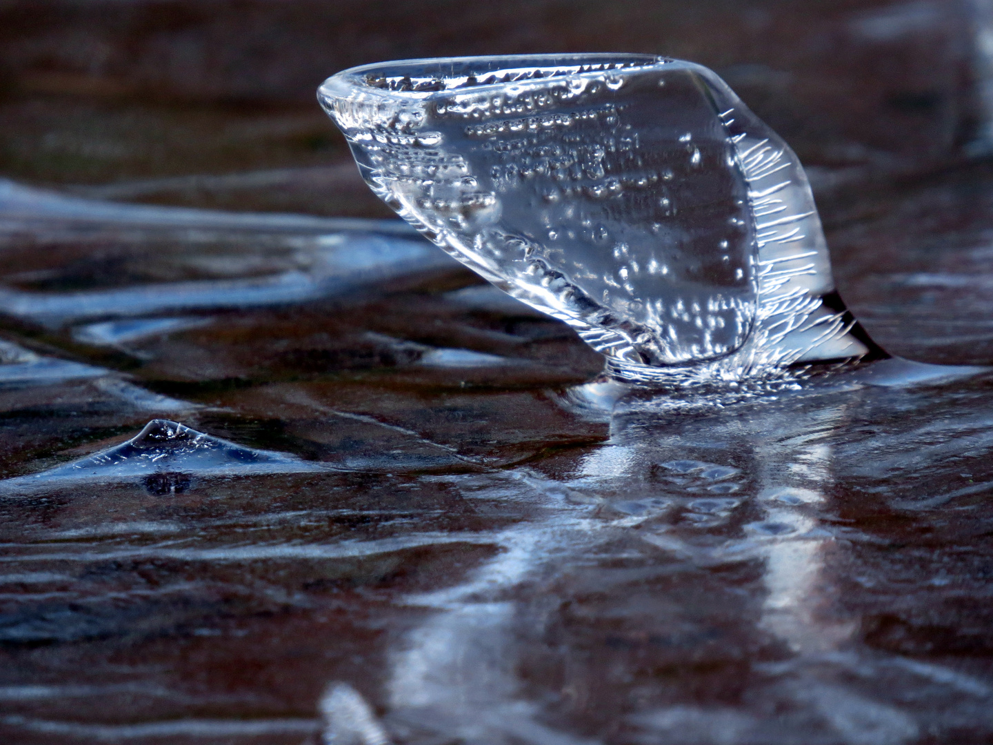 Eisskulptur