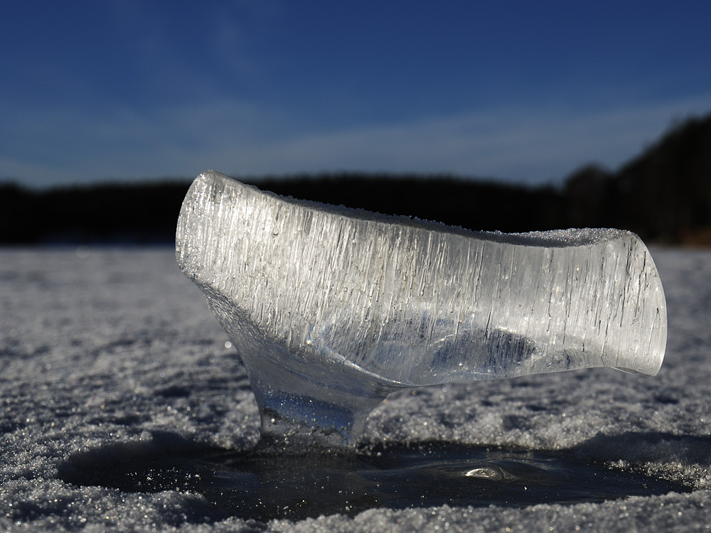 Eisskulptur