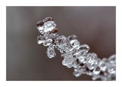 Eisskulptur (Makro)