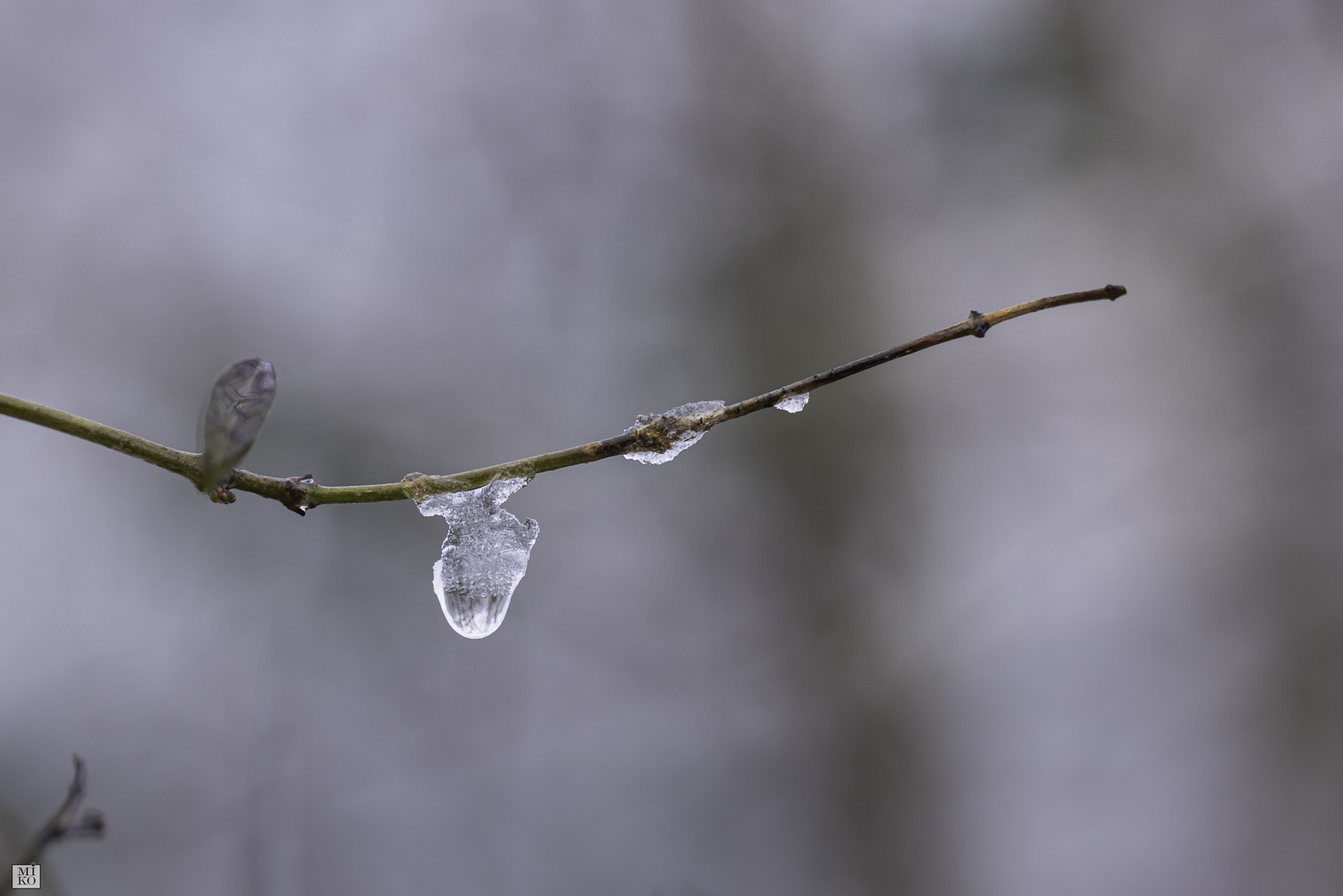 Eisskulptur mit Tropfenspiegelung