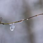 Eisskulptur mit Tropfenspiegelung