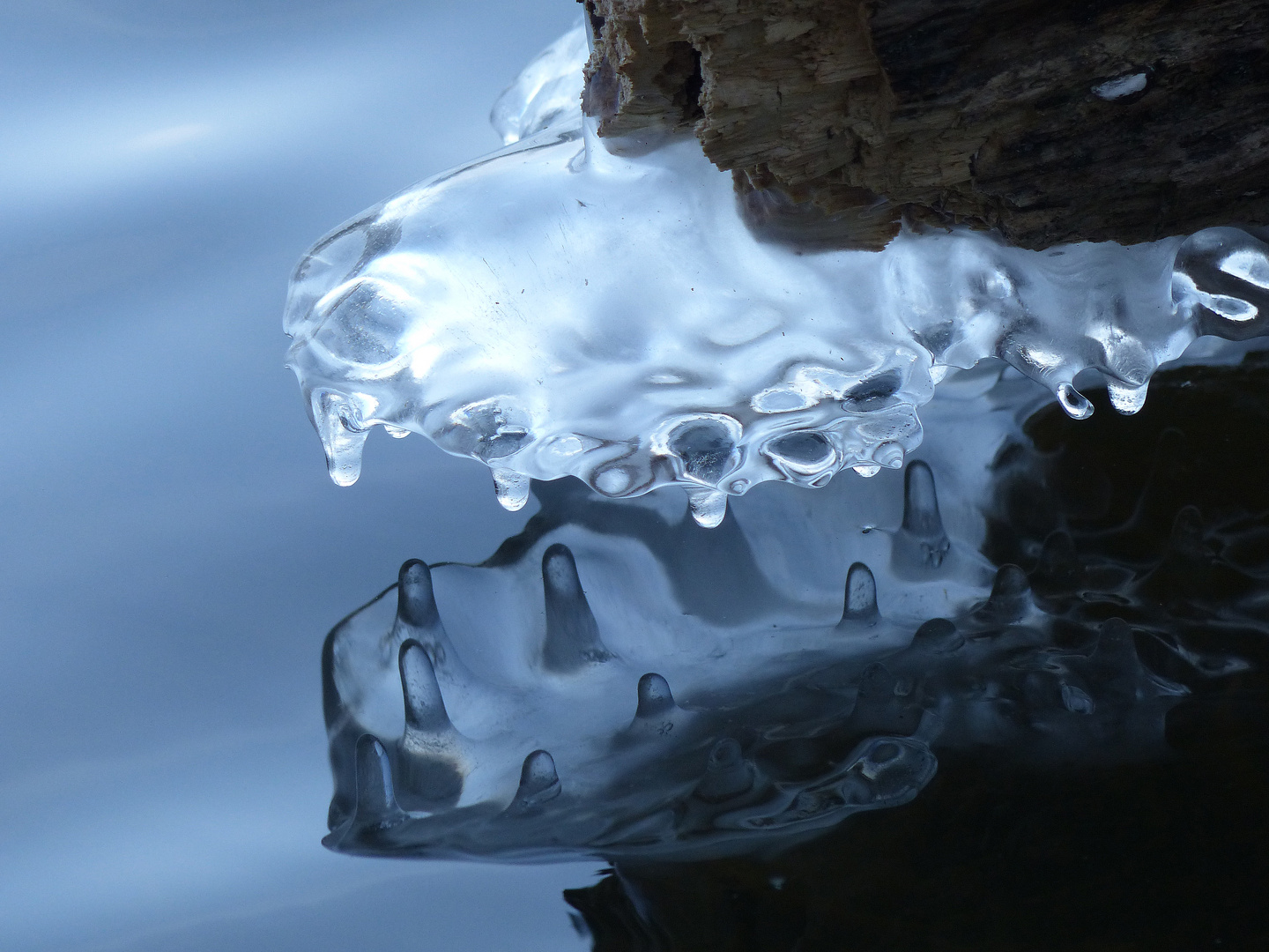 Eisskulptur von Wasser und Frost geformt