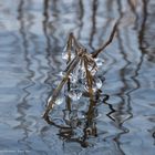 Eisskulpturen am Halm