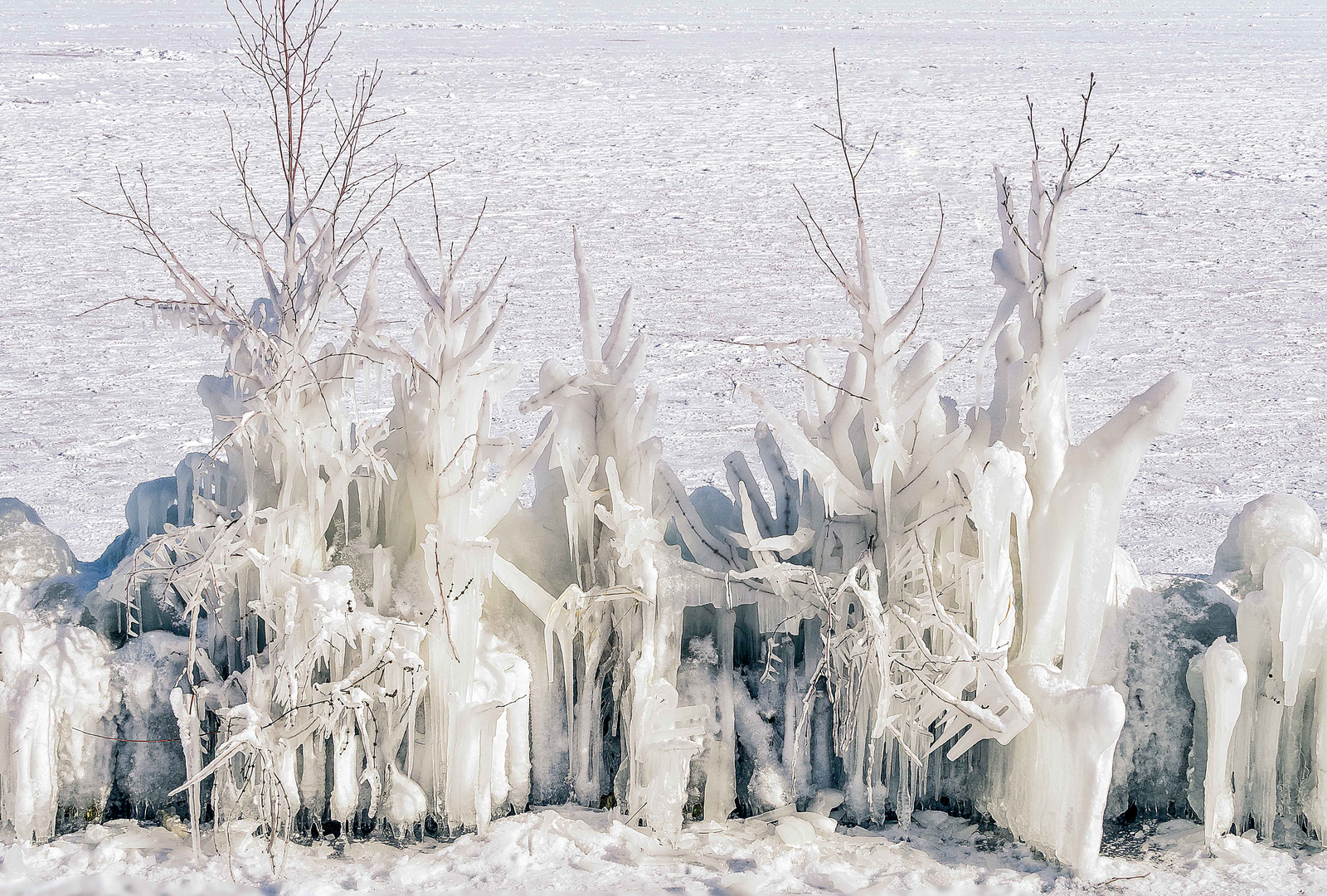 Eisskulpturen an den Buhnen2