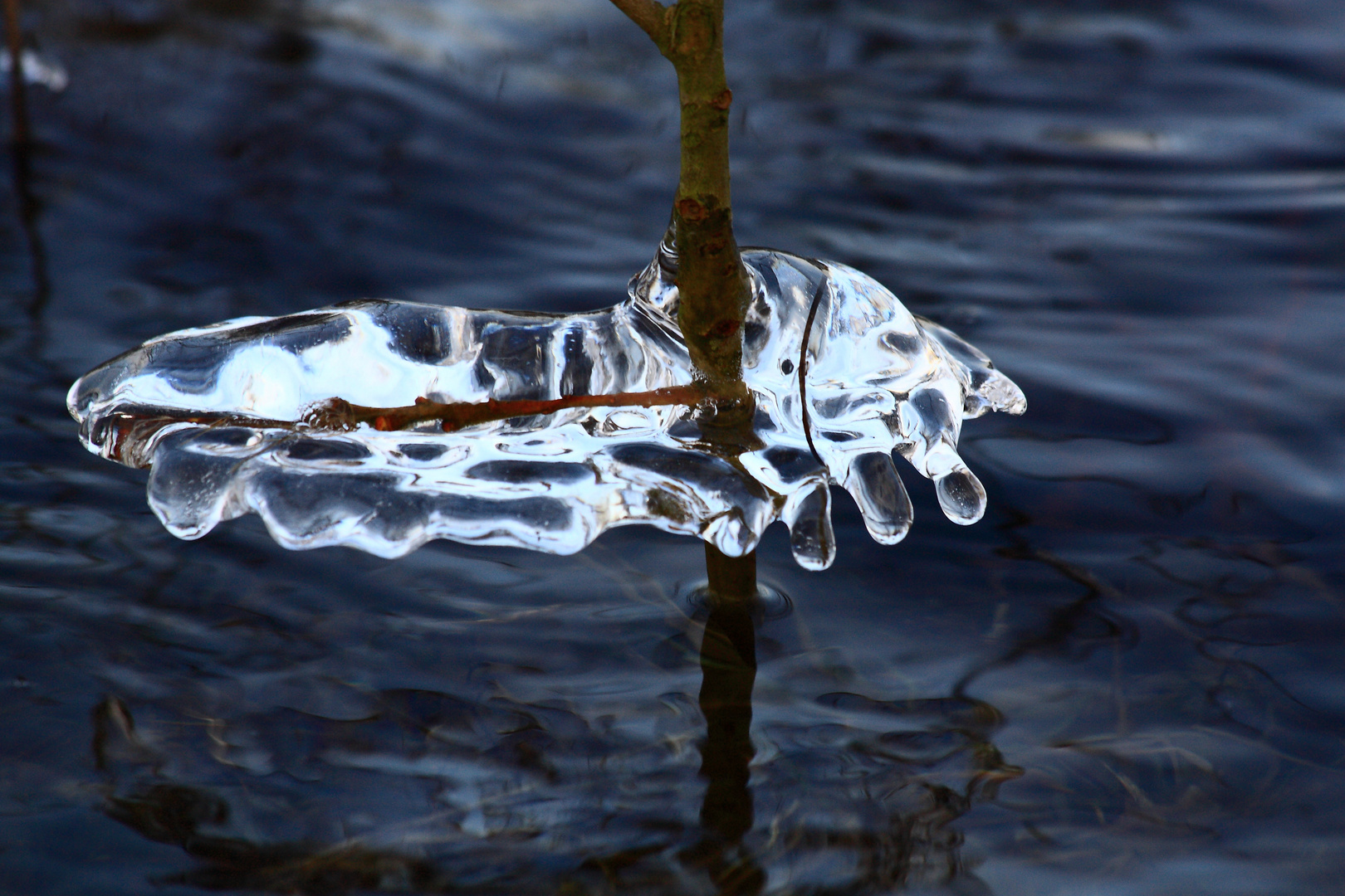 Eisskulpturen