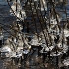 Eisskulpturen von der Natur erschaffen